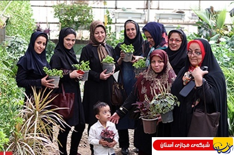 معمار دیوار سبز زنان هستند