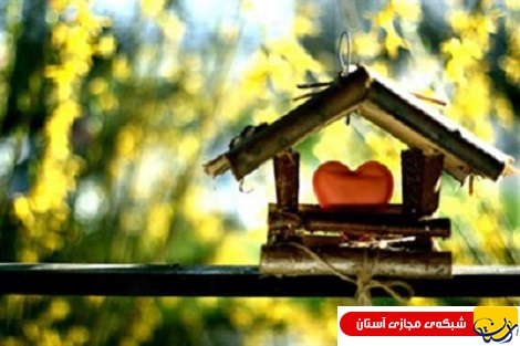 4 عنصر شکل گیری علاقه مندی از نگاه نظریه پردازان