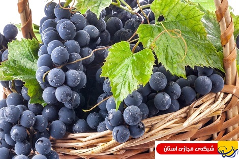 میوه ای معجزه آسا در روان درمانی