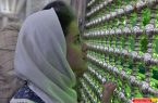 گزارش تصویری : مراسم تجلیل از خانم یوکاوت گیدائیان توسط کمیته ادیان الهی ستاد بزرگداشت امام خمینی(س)