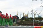 آیین غباروبی مزار شهدا در آخرین پنجشنبه سال