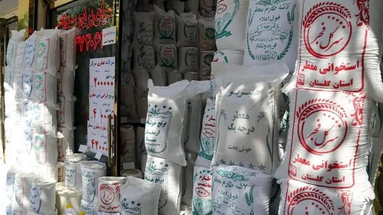 قیمت برنج ارزان می‌شود